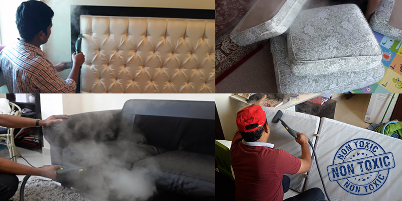 Dubai Bed Bug Treatment